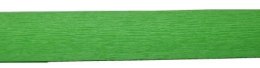 Bibuła krepina 200x50cm zielony | nr 117