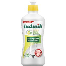 Płyn do mycia naczyń Cytrusy i Zielona Herbata 450ml Ludwik