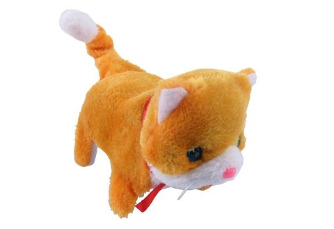 Kot na baterie 16 x 13 x 8cm