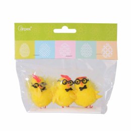 Kurczaki w okularach 3 szt. YX5938