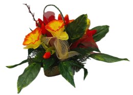 Stroik kosz u uchem łódka