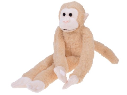 Masotka małpka wisząca beżowa z rzepami 45cm ZA5657