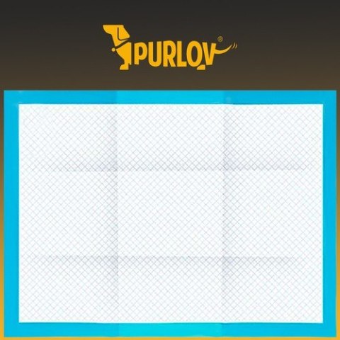 Podkład higieniczny chłonny- 100szt. + woreczki