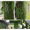 Żywopłot sztuczny na balkon 0,4x0,6cm Gardlov25390