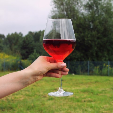 Gigantyczny Kieliszek diVinto dla kobiety żony