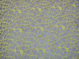 Siatka koronka wiosna | 2646