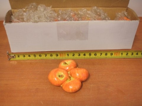 Magnes na lodówkę JABŁKA 10 szt. 2808