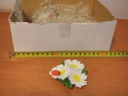 Magnesy na lodówkę STOKROTKA 8szt. | 64283