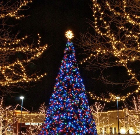 Lampki choinkowe 500led MULTI | 5571