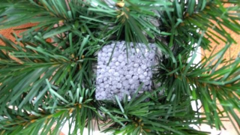 Podkład stroik CIĘŻKI MINI FOCUS