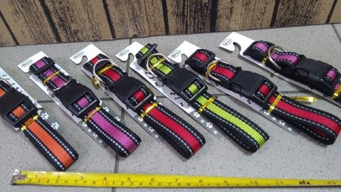 Obroża fluo dla dużych psów 6szt. | ZL00514